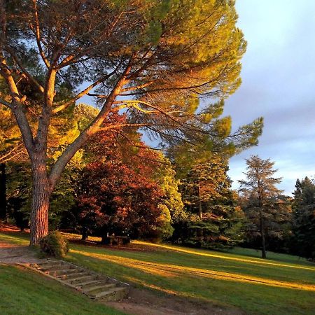 Domaine De Gailhaguet B&B Verfeil  Dış mekan fotoğraf